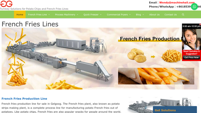 French Fries Lines - Customized Solutions for French Fries and Chips Line