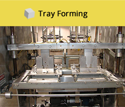 Tray Forming Machine